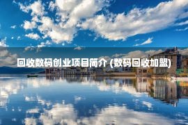 回收数码创业项目简介 (数码回收加盟)