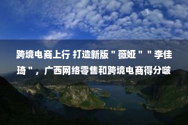 跨境电商上行 打造新版＂薇娅＂＂李佳琦＂，广西网络零售和跨境电商得分啵！