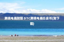 跨境电商附图 DTC跨境电商白皮书(附下载)