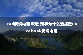 cod跨境电商 税收 新手为什么选择做Facebook跨境电商