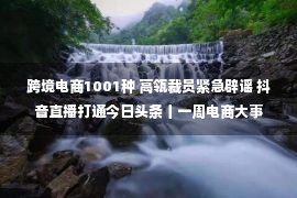 跨境电商1001种 高瓴裁员紧急辟谣 抖音直播打通今日头条丨一周电商大事