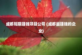 成都短期赚钱项目公司 (成都最赚钱的企业)