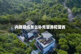 内膜损伤怎么补充营养和营养 