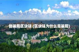 新骗局区块链 (区块链为什么是骗局)