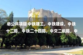 总公共项目 中铁建工，中铁建设，中铁十二局，中铁二十四局，中交二航局，中交四公局，中国五冶，上海宝冶中标雄安项目