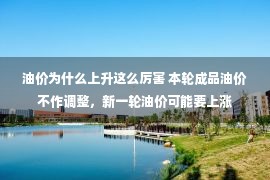 油价为什么上升这么厉害 本轮成品油价不作调整，新一轮油价可能要上涨