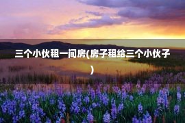 三个小伙租一间房(房子租给三个小伙子)