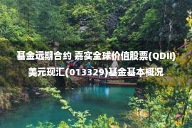 基金远期合约 嘉实全球价值股票(QDII)美元现汇(013329)基金基本概况