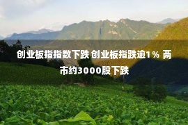 创业板指指数下跌 创业板指跌逾1％ 两市约3000股下跌