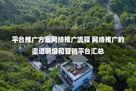 平台推广方案网络推广流程 网络推广的渠道明细和营销平台汇总