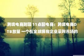 跨境电商附图 11点聊电商：跨境电商DTB放量 一个在全球拥抱企业采购市场的机会