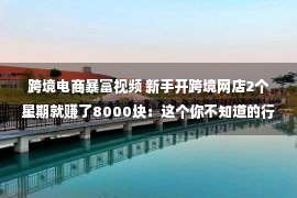 跨境电商暴富视频 新手开跨境网店2个星期就赚了8000块：这个你不知道的行业，真的很赚钱！