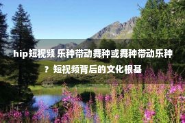 hip短视频 乐种带动舞种或舞种带动乐种？短视频背后的文化根基