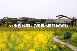 vr 短视频成片 (VR技术做的短视频)