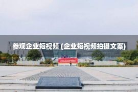 参观企业短视频 (企业短视频拍摄文案)