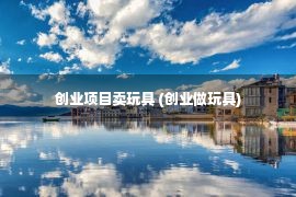 创业项目卖玩具 (创业做玩具)