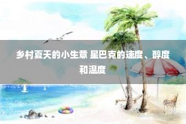 乡村夏天的小生意 星巴克的速度、醇度和温度