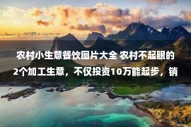 农村小生意餐饮图片大全 农村不起眼的2个加工生意，不仅投资10万能起步，销路也越来越广