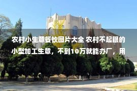 农村小生意餐饮图片大全 农村不起眼的小型加工生意，不到10万就能办厂，用量大销路又好找