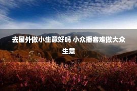 去国外做小生意好吗 小众播客难做大众生意