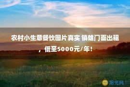 农村小生意餐饮图片真实 镇雄门面出租，低至5000元/年！