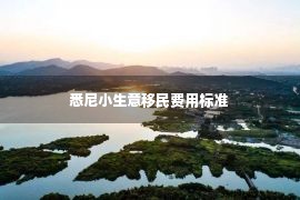 悉尼小生意移民费用标准 