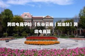 跨境电商孕妇 【东谷云商｜加油站】跨境电商篇