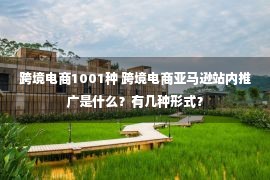 跨境电商1001种 跨境电商亚马逊站内推广是什么？有几种形式？