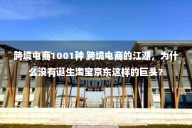 跨境电商1001种 跨境电商的江湖，为什么没有诞生淘宝京东这样的巨头？