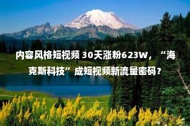 内容风格短视频 30天涨粉623W，“海克斯科技”成短视频新流量密码？