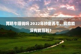 育肥牛赚钱吗 2022年抄底养牛，究竟能没有能赢利？