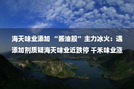 海天味业添加 “酱油股”主力冰火：遇添加剂质疑海天味业近跌停 千禾味业涨停