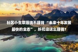 社区小生意赚钱不赚钱 “未来十年发展最快的业态”，折扣店这么赚钱？