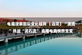 电商逆袭前后变化趋势 【远见】“清流”挑战“泥石流” 直播电商悄然生变