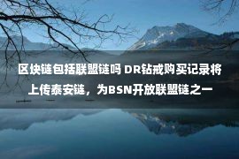 区块链包括联盟链吗 DR钻戒购买记录将上传泰安链，为BSN开放联盟链之一