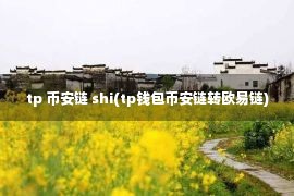 tp 币安链 shi(tp钱包币安链转欧易链)