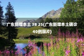 广东新增本土 38 25(广东新增本土确诊40例图片)