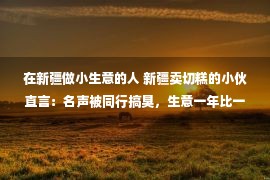 在新疆做小生意的人 新疆卖切糕的小伙直言：名声被同行搞臭，生意一年比一年难做