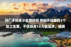 开厂子投资小生意好吗 农村不起眼的2个加工生意，不仅投资10万能起步，销路也越来越广