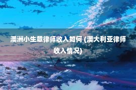 澳洲小生意律师收入如何 (澳大利亚律师收入情况)