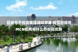 视频号不能直播赚钱吗苹果 微信视频号MCN机构有什么好处和优势