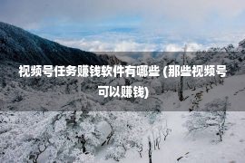 视频号任务赚钱软件有哪些 (那些视频号可以赚钱)