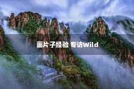 画片子经验 专访Wild