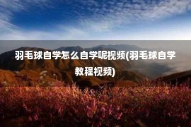 羽毛球自学怎么自学呢视频(羽毛球自学教程视频)