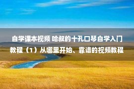 自学课本视频 哈叔的十孔口琴自学入门教程（1）从哪里开始、靠谱的视频教程及选琴推荐