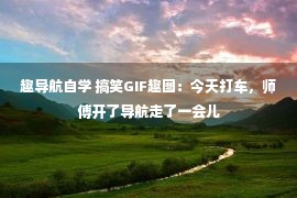 趣导航自学 搞笑GIF趣图：今天打车，师傅开了导航走了一会儿