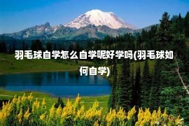 羽毛球自学怎么自学呢好学吗(羽毛球如何自学)