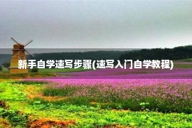 新手自学速写步骤(速写入门自学教程)