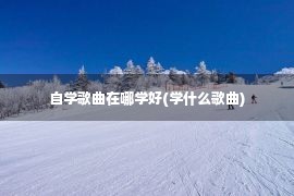 自学歌曲在哪学好(学什么歌曲)