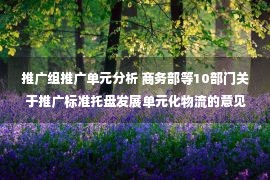 推广组推广单元分析 商务部等10部门关于推广标准托盘发展单元化物流的意见